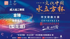 2021文化中国水立方杯中文歌曲大赛成人组二等奖：金臻《梨花泪》