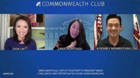 Erika Moritsugu: Challenges and Opportunities Facing Asian Americans