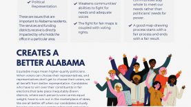 4-pager for Media-Redistricting 101 (1)_page-0002