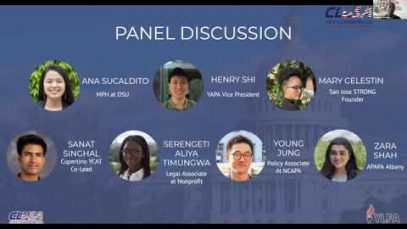 Young Leader for America Summit 2020 Webinar 2 – Panel Discussion