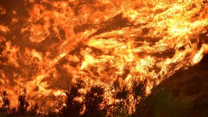 Wildfire