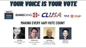 Panel 2-Making Every AAPI Vote Count-Civic Leadership Forum – Your Voice is Your Vote