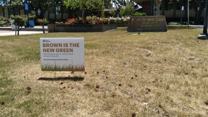 Brown is new Green